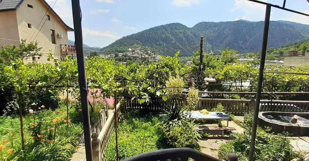 Shota'S Guest House Borjomi Exterior foto