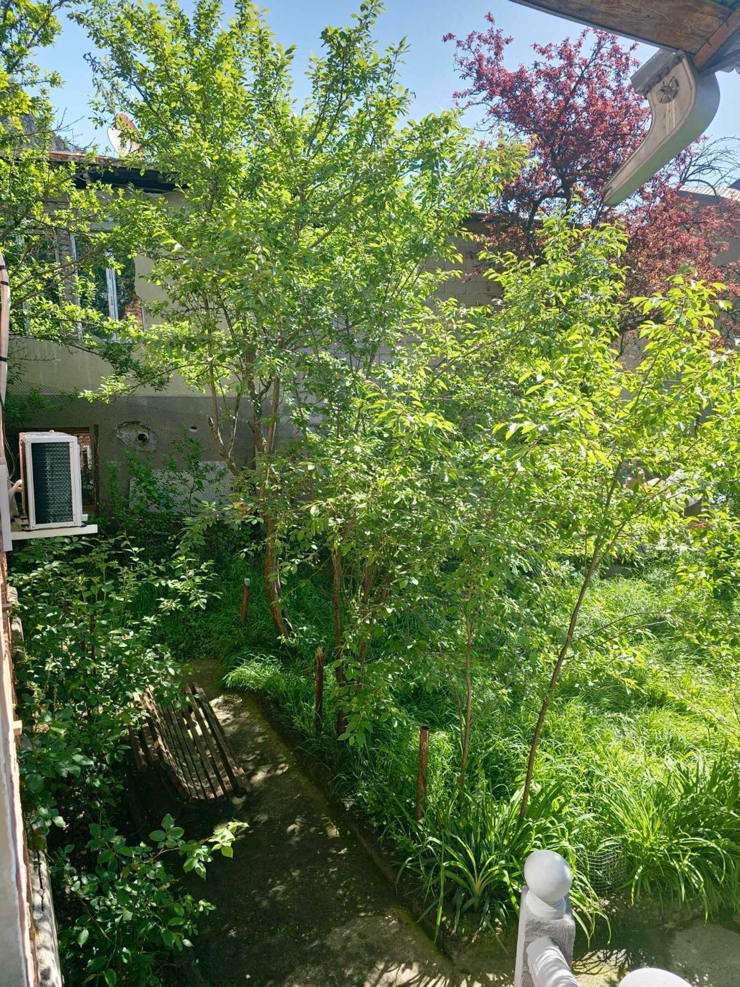 Shota'S Guest House Borjomi Exterior foto