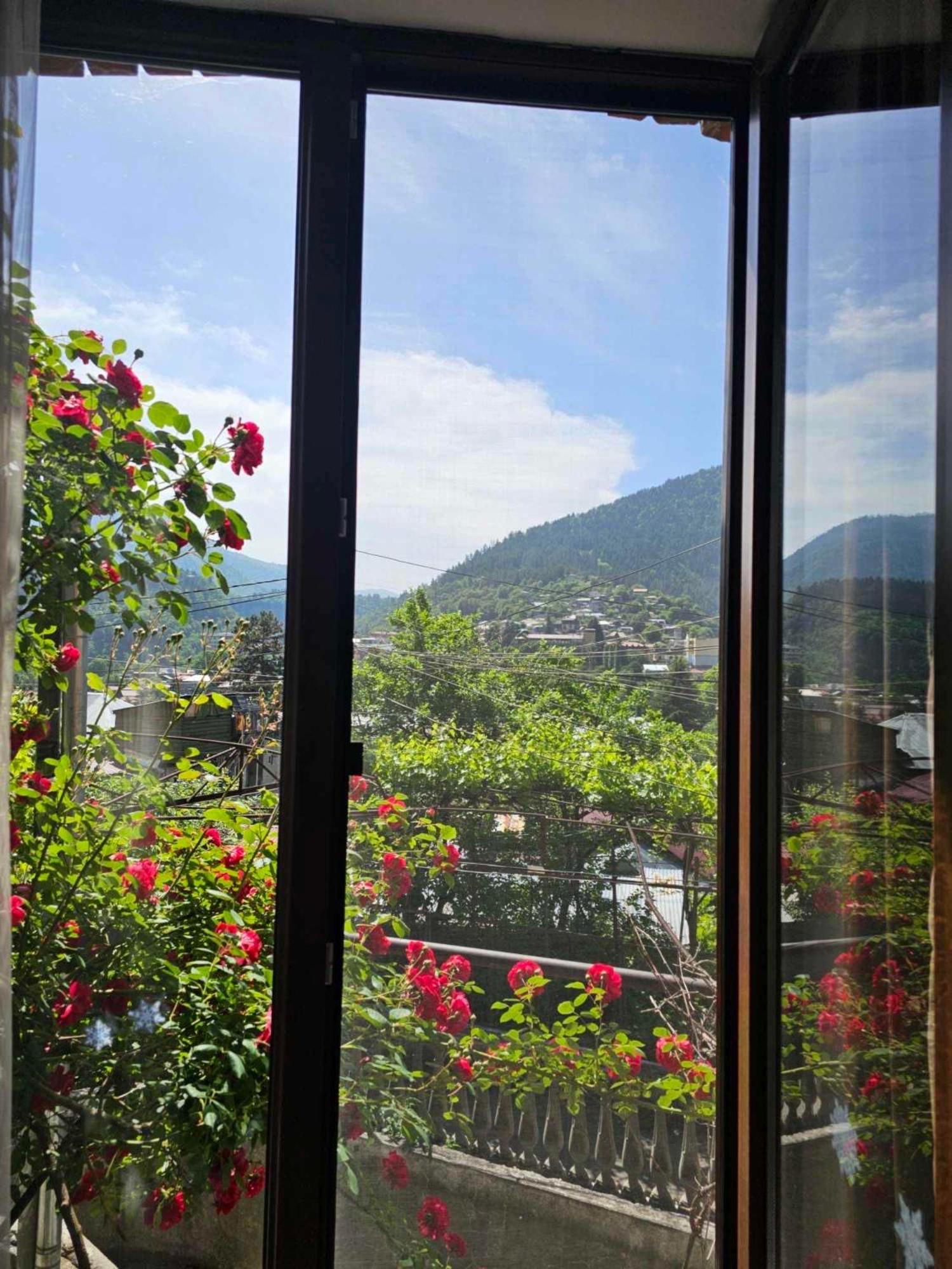 Shota'S Guest House Borjomi Exterior foto